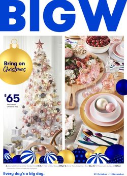 BIG W Catalogue from 29/10/2020