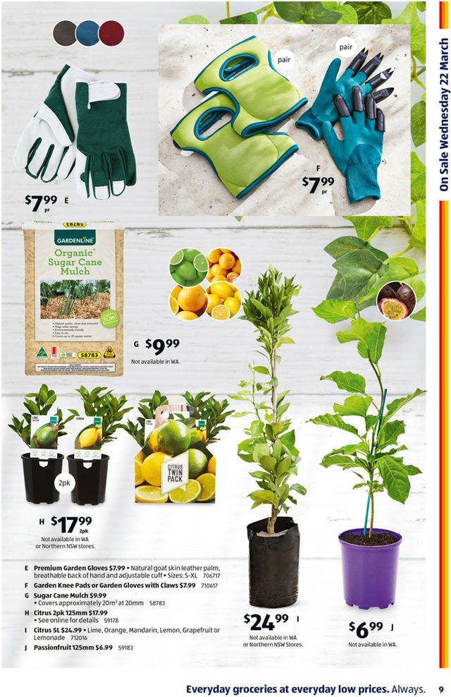 ALDI Catalogue from 22/03/2023