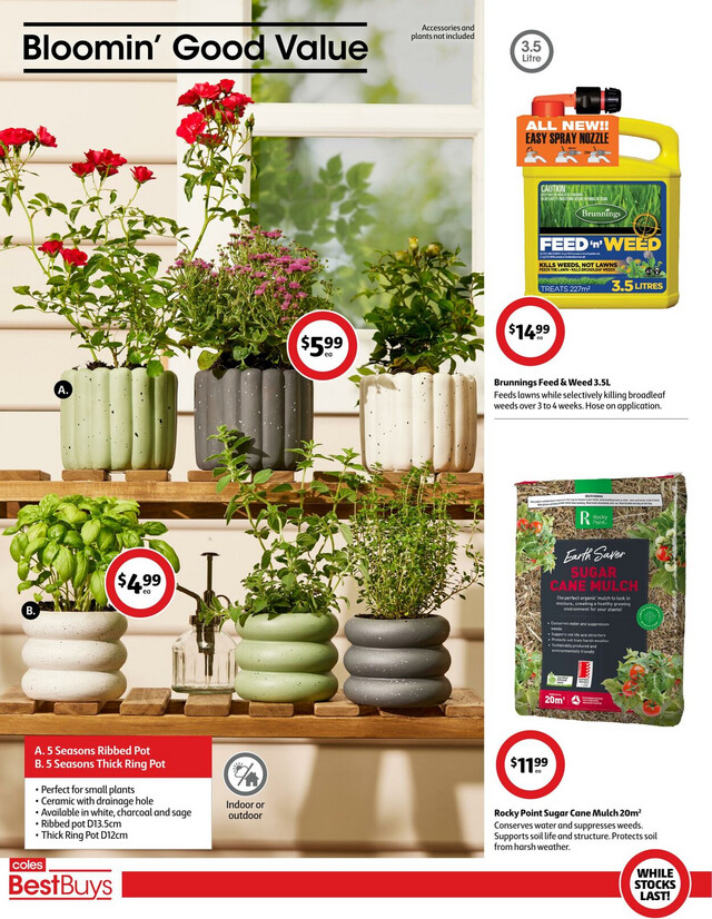 Coles Catalogue from 03/01/2024