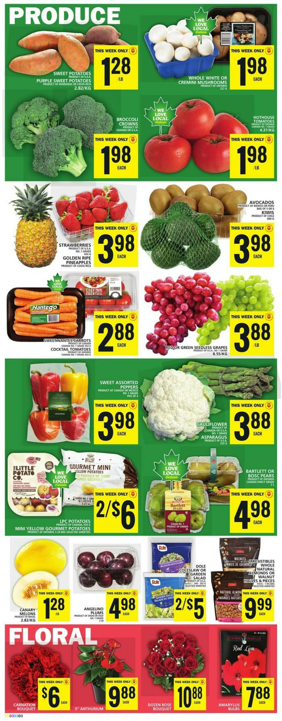 Food Basics Flyer from 10/19/2023