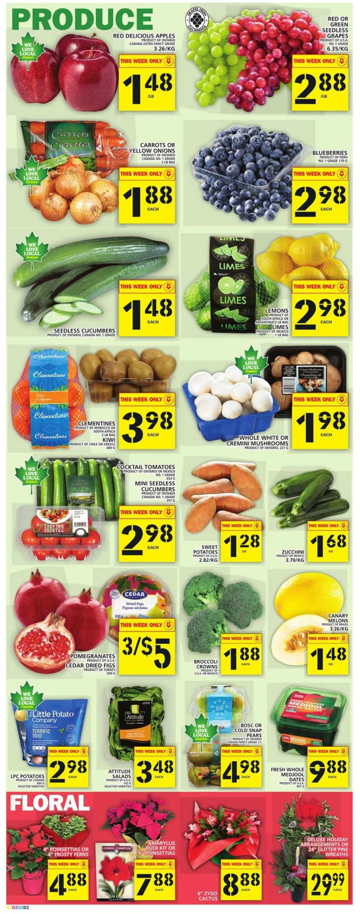 Food Basics Flyer from 11/10/2022
