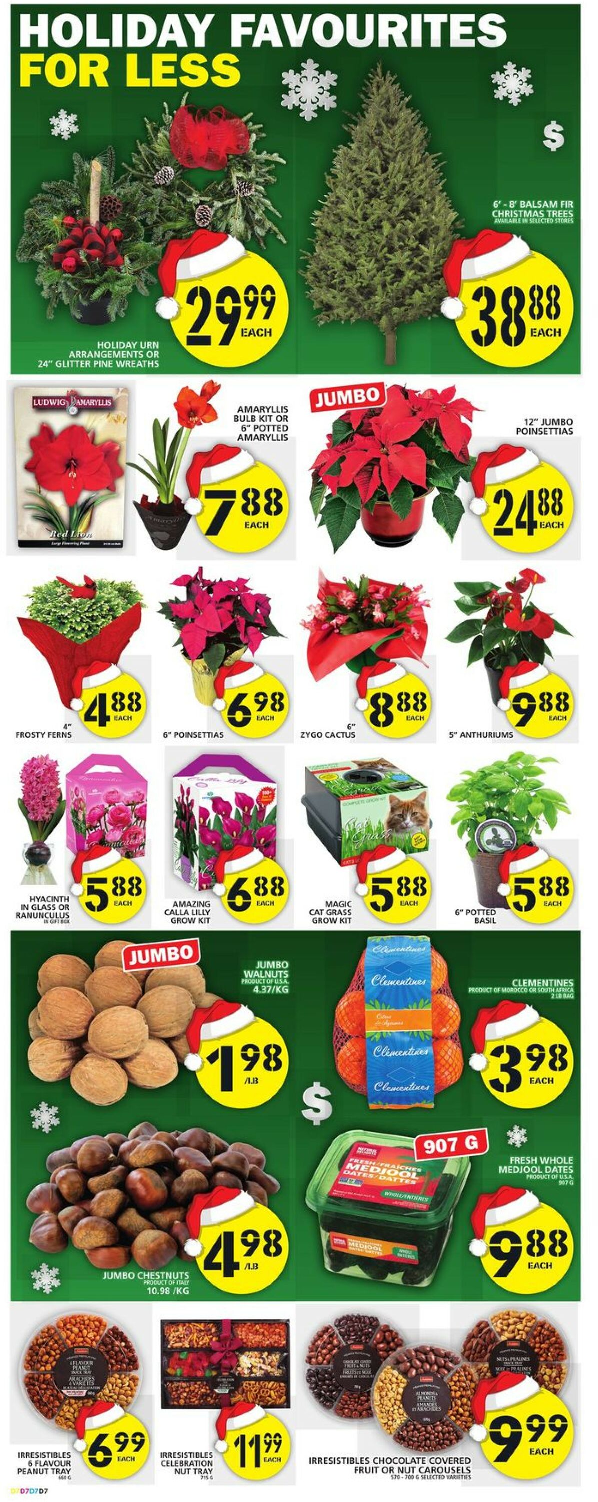 Food Basics Flyer from 11/24/2022