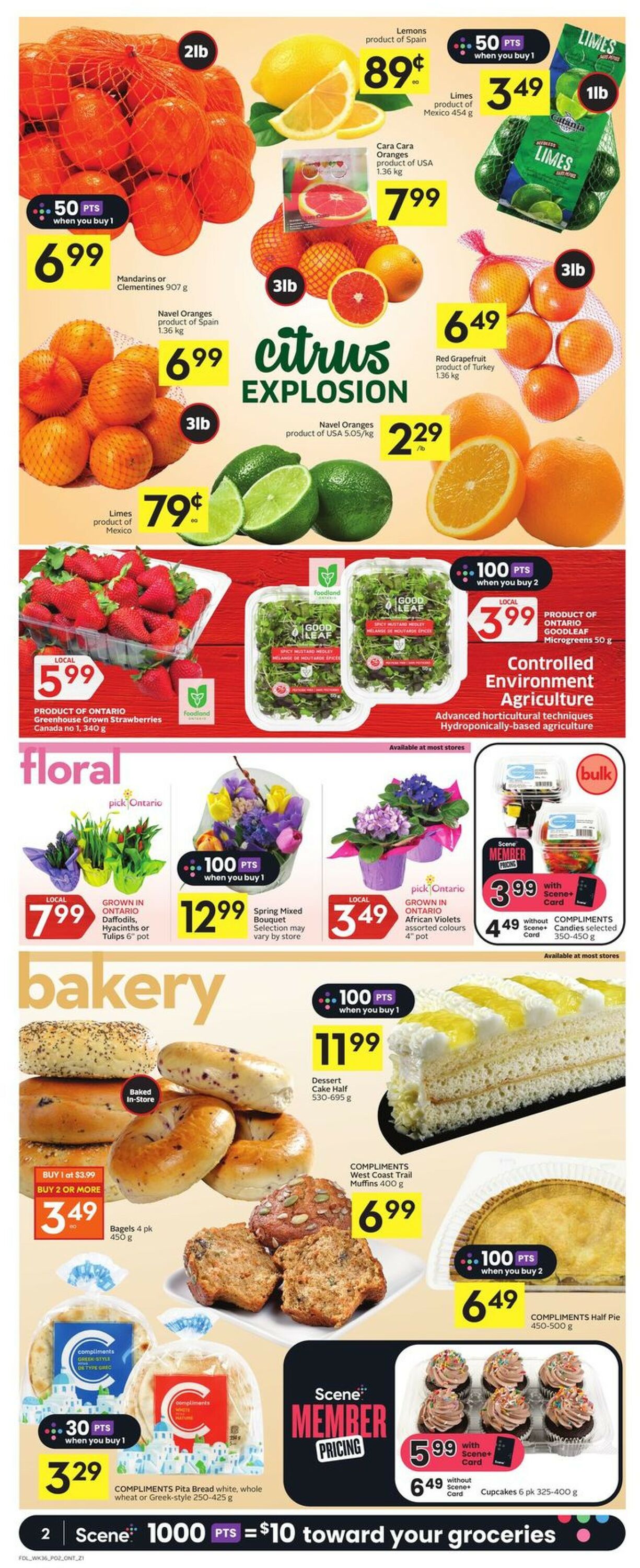Foodland Flyer from 01/05/2023