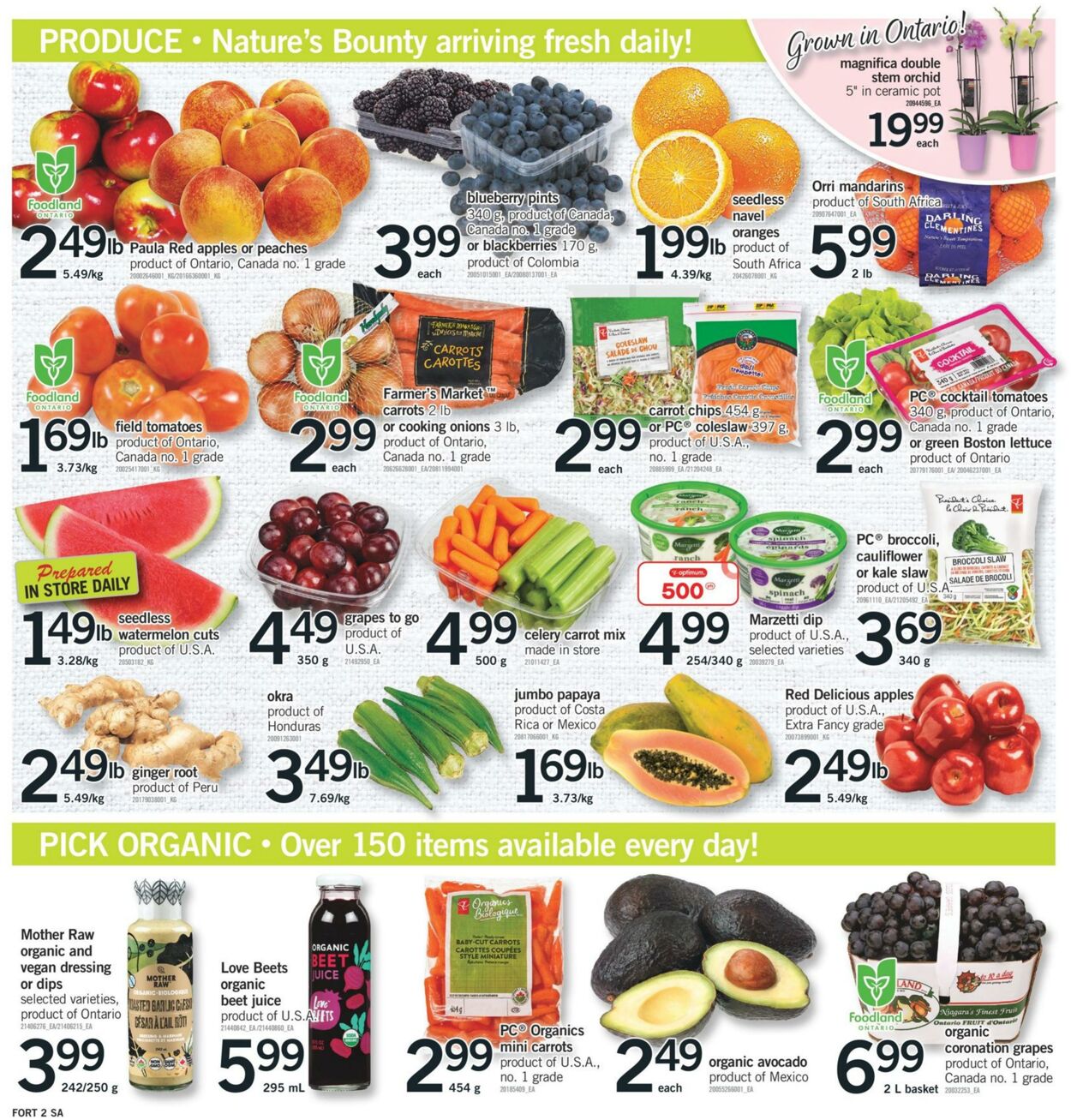 Fortinos Flyer from 08/31/2023