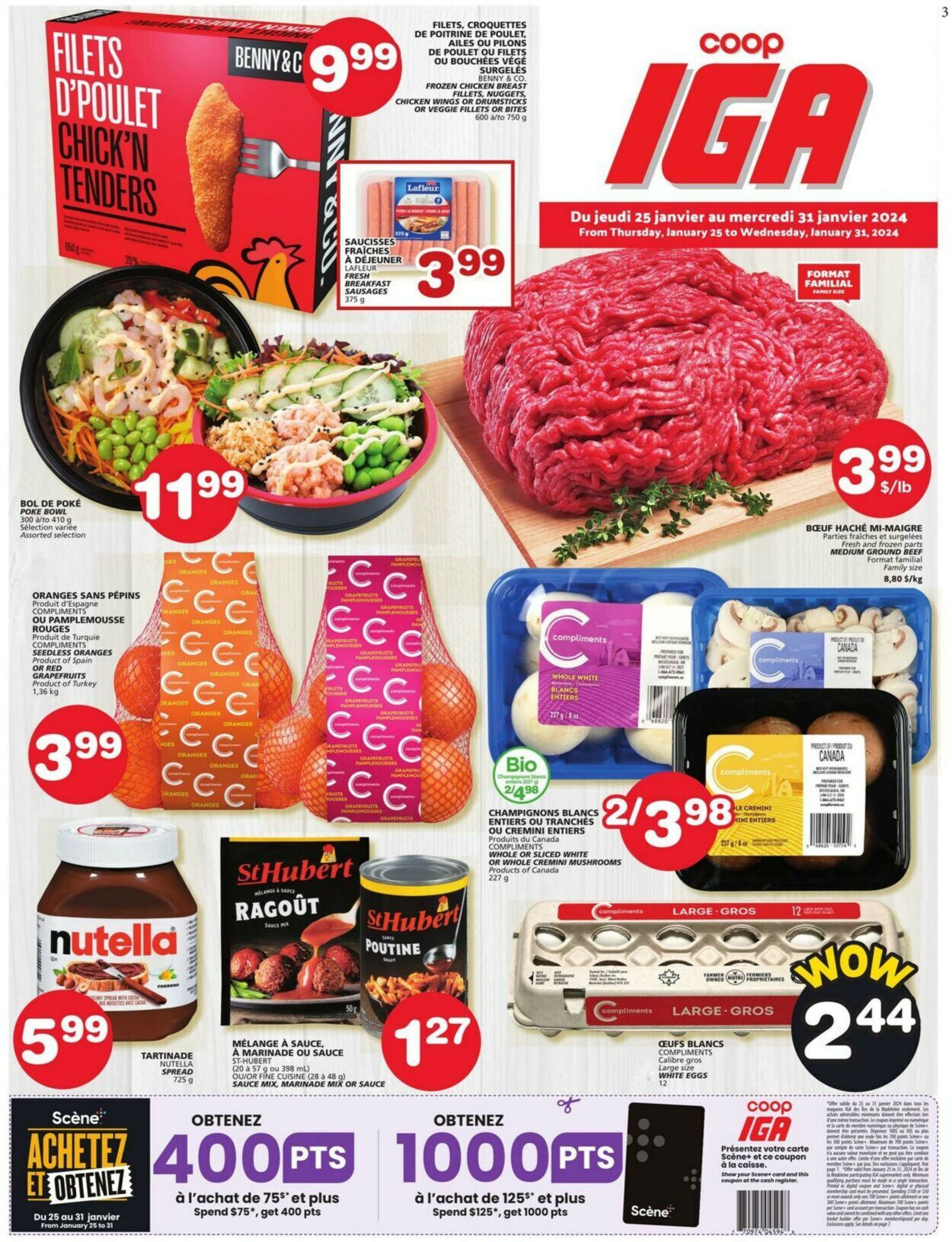 IGA Flyer from 01/25/2024