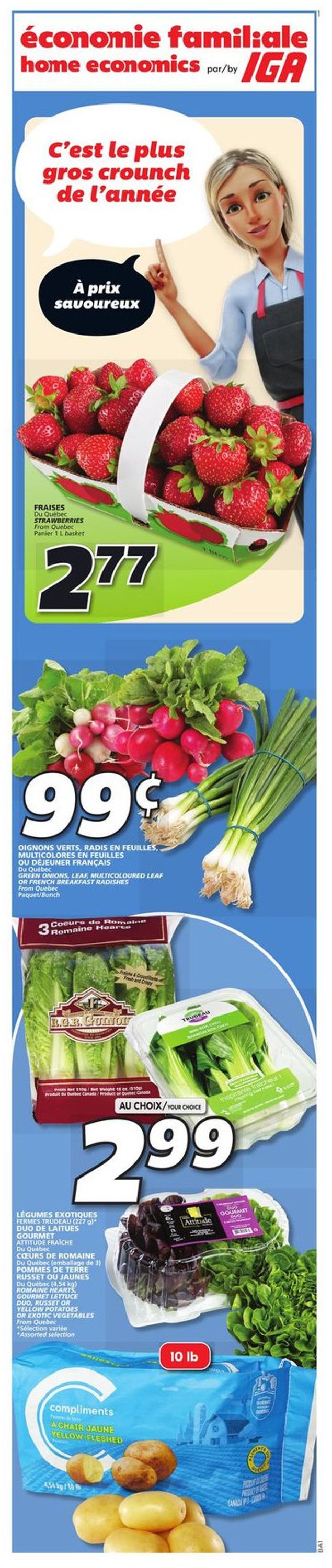 IGA Flyer from 06/23/2022
