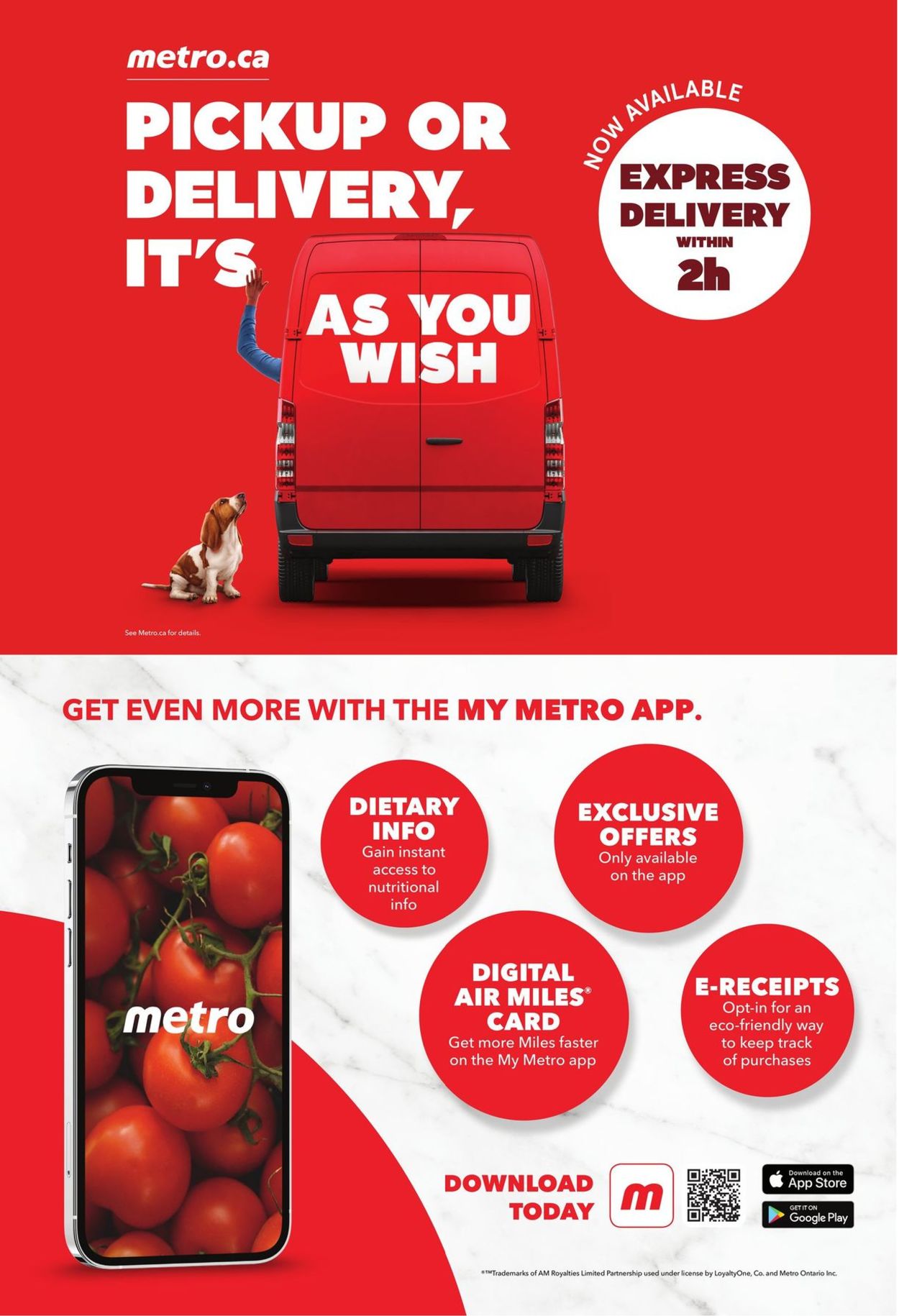 Metro Flyer from 02/10/2022