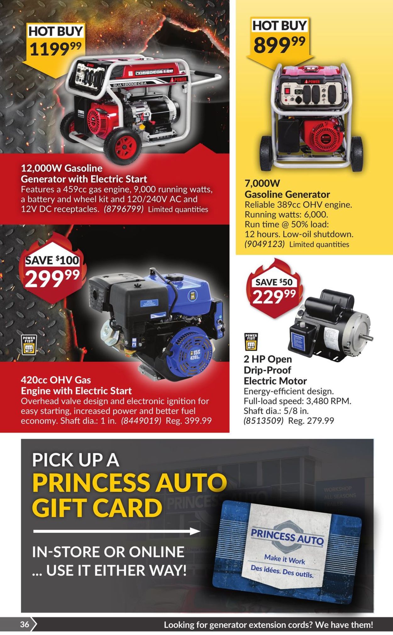 Princess Auto Flyer from 01/18/2022