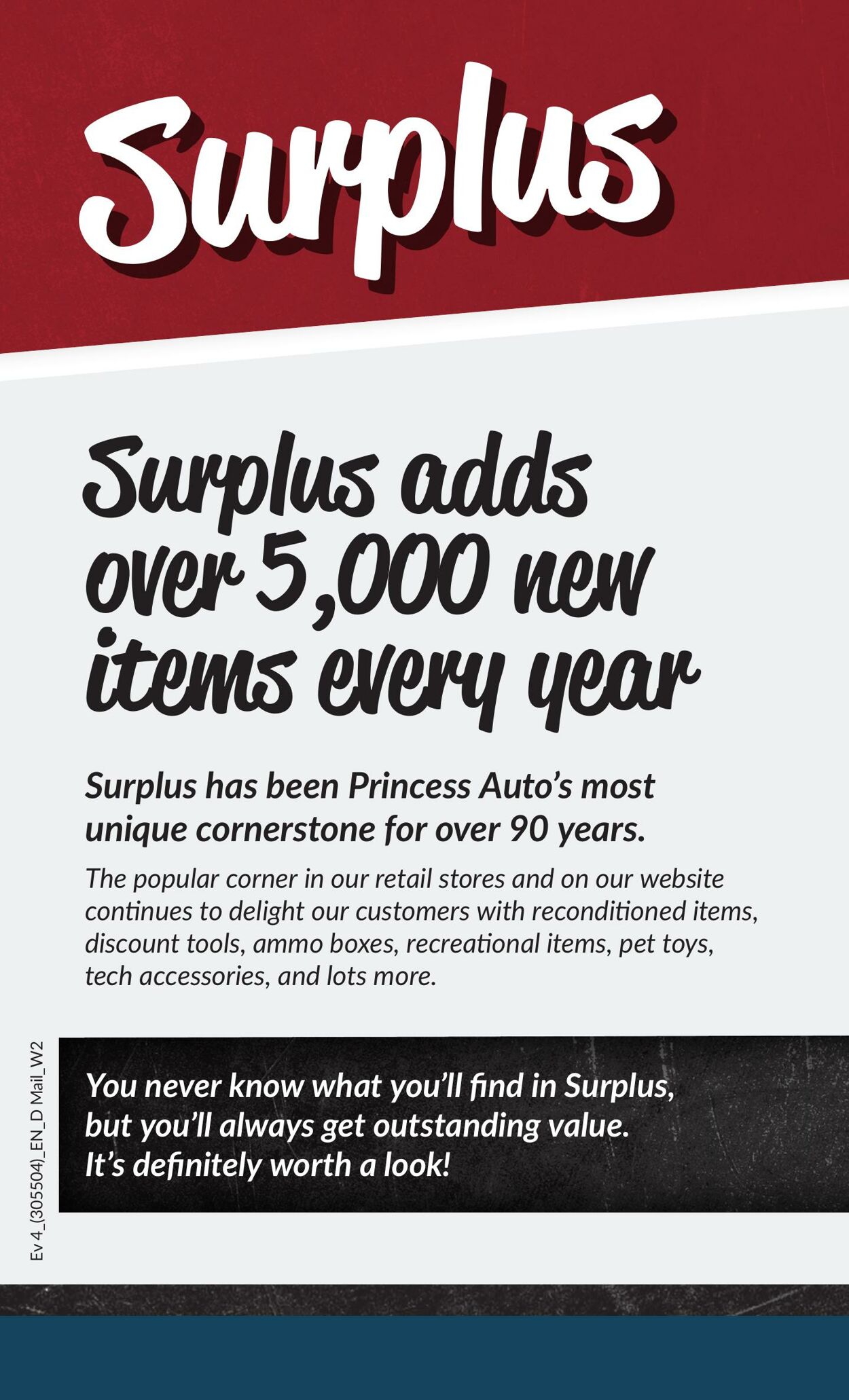 Princess Auto Flyer from 02/13/2024