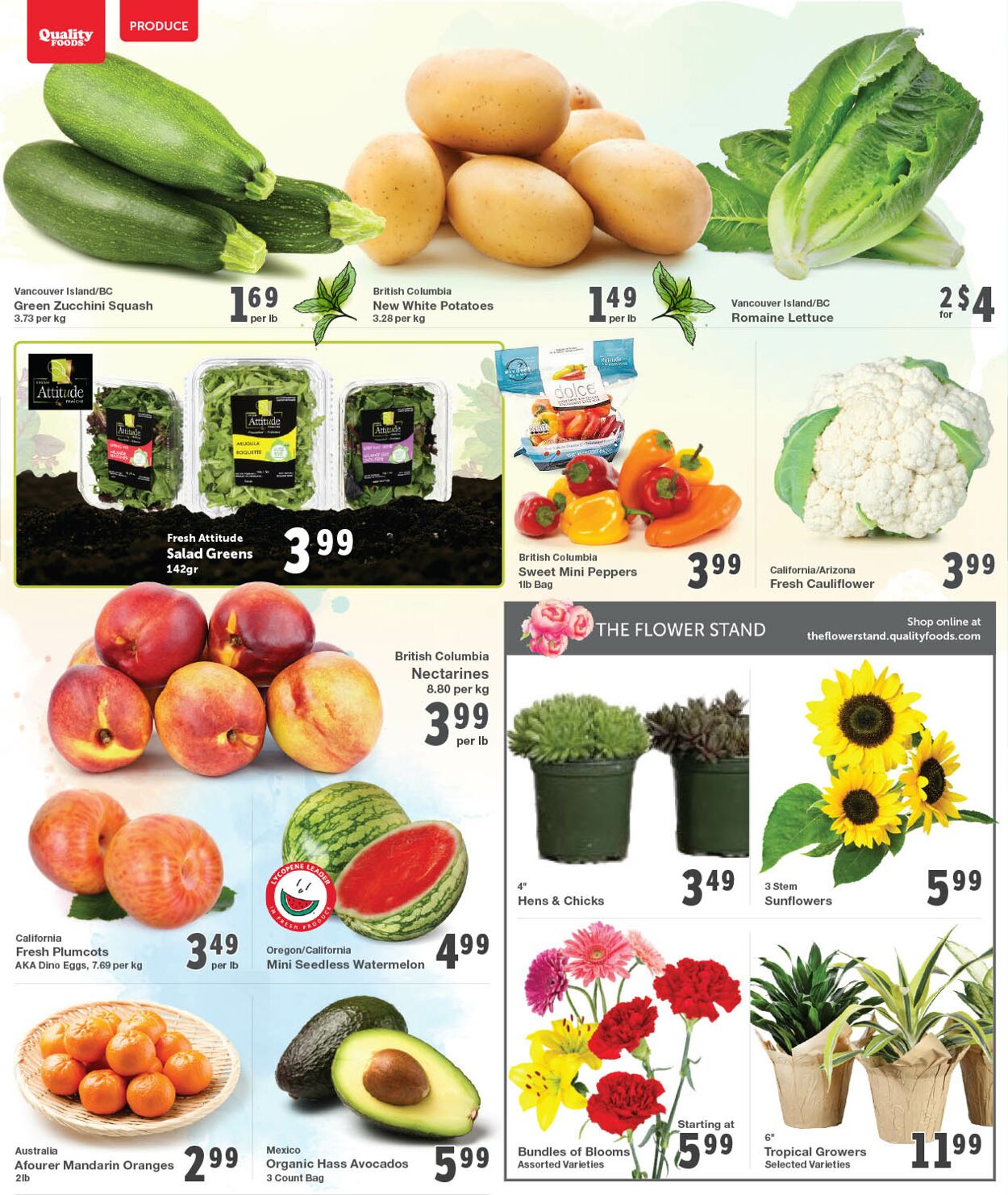 Quality Foods Flyer from 07/31/2023
