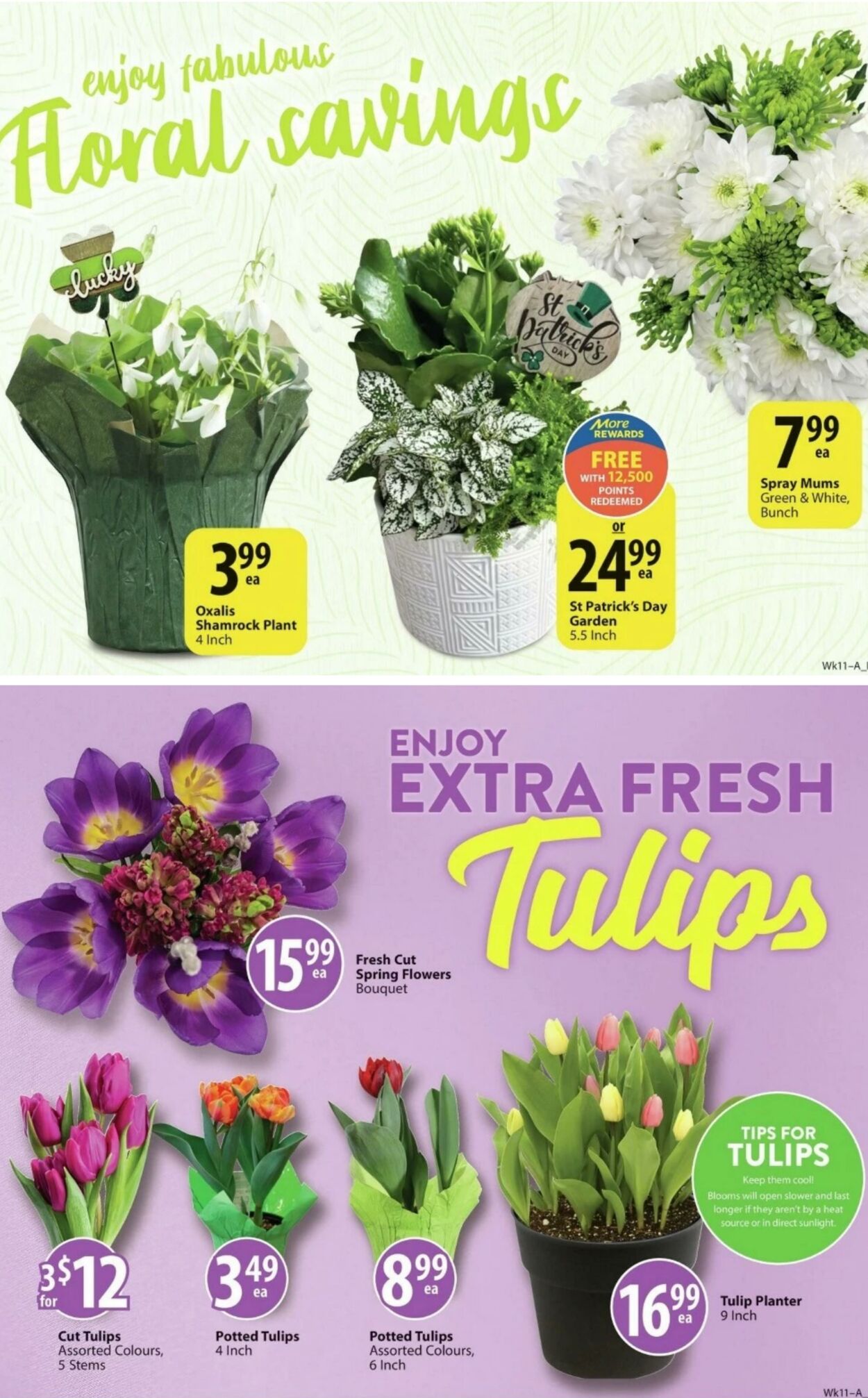 Save-On-Foods Flyer from 03/14/2024