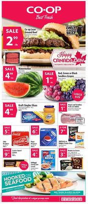 Catalogue Calgary Co-op from 06/20/2019