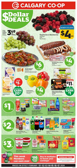 Catalogue Calgary Co-op from 02/01/2024