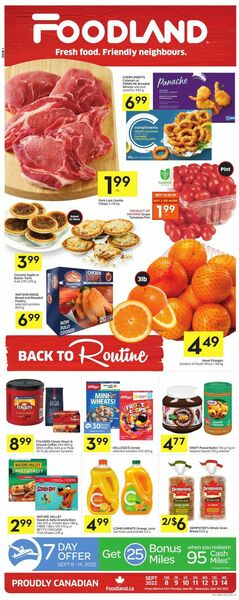 Catalogue Foodland from 09/08/2022