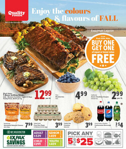 Catalogue Quality Foods from 11/20/2023