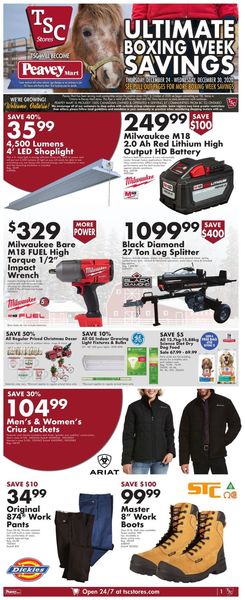 Catalogue TSC Stores - Boxing Week 2020 from 12/24/2020