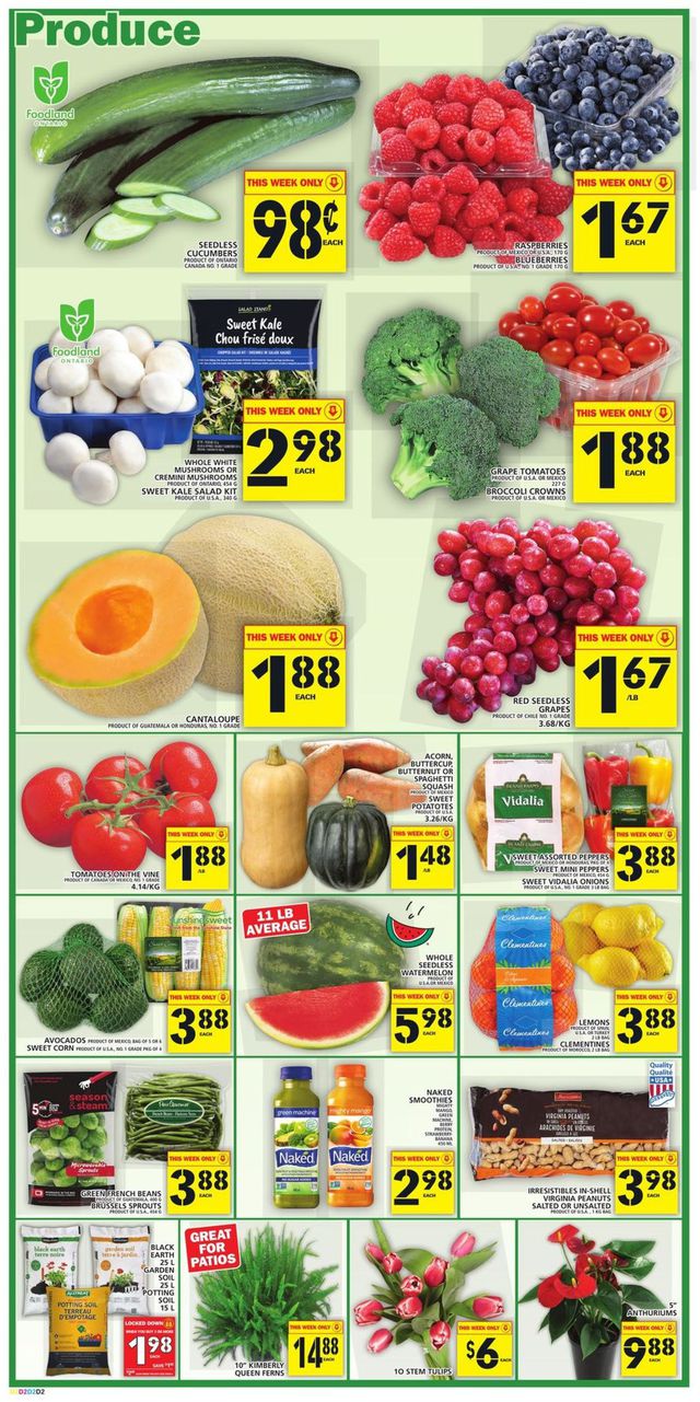 Food Basics Flyer from 04/23/2020