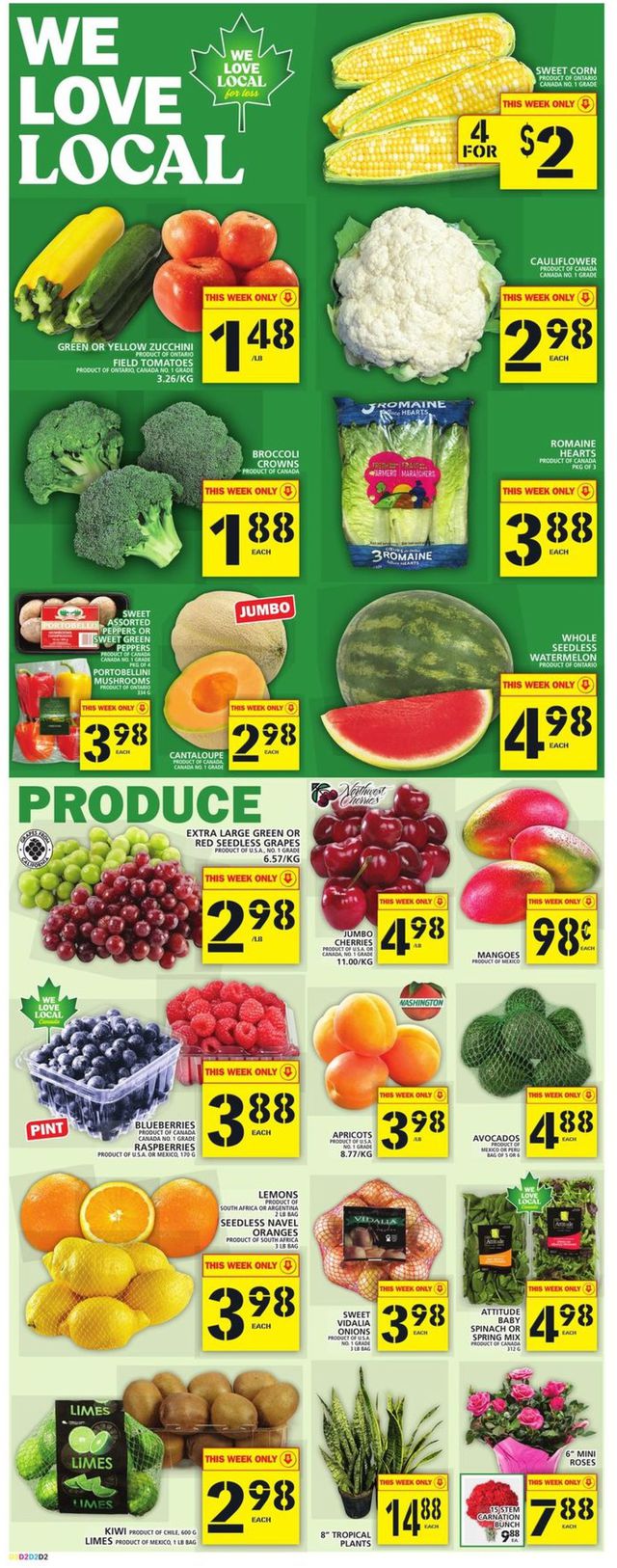 Food Basics Flyer from 08/04/2022
