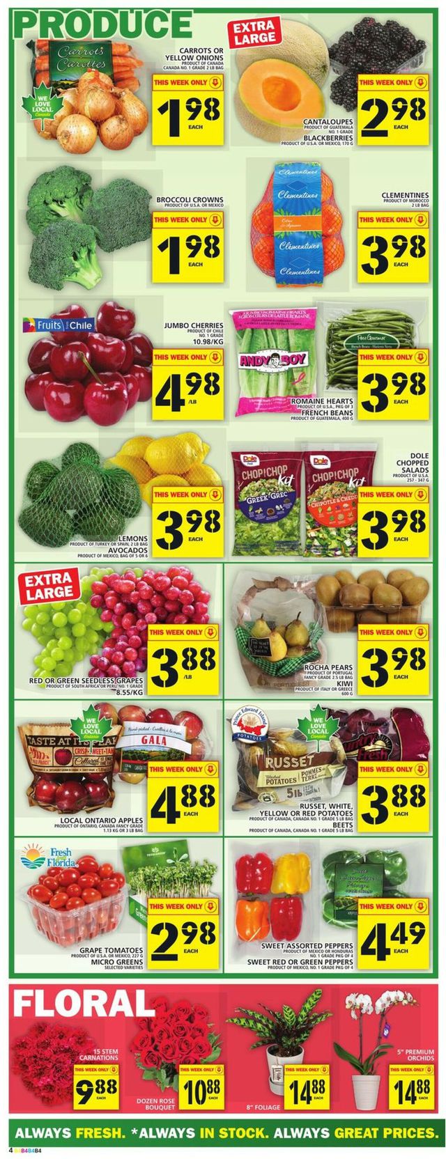 Food Basics Flyer from 01/26/2023