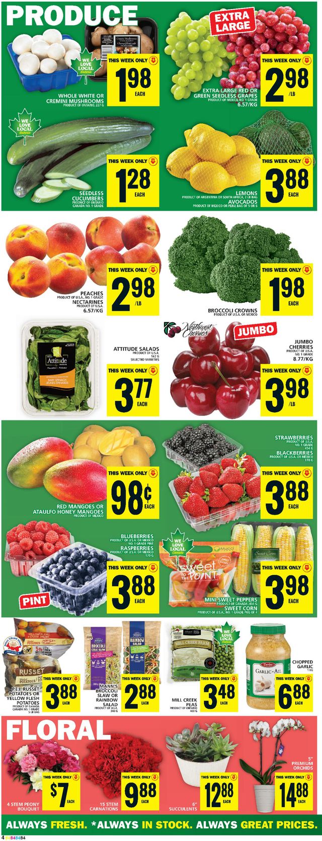Food Basics Flyer from 06/29/2023