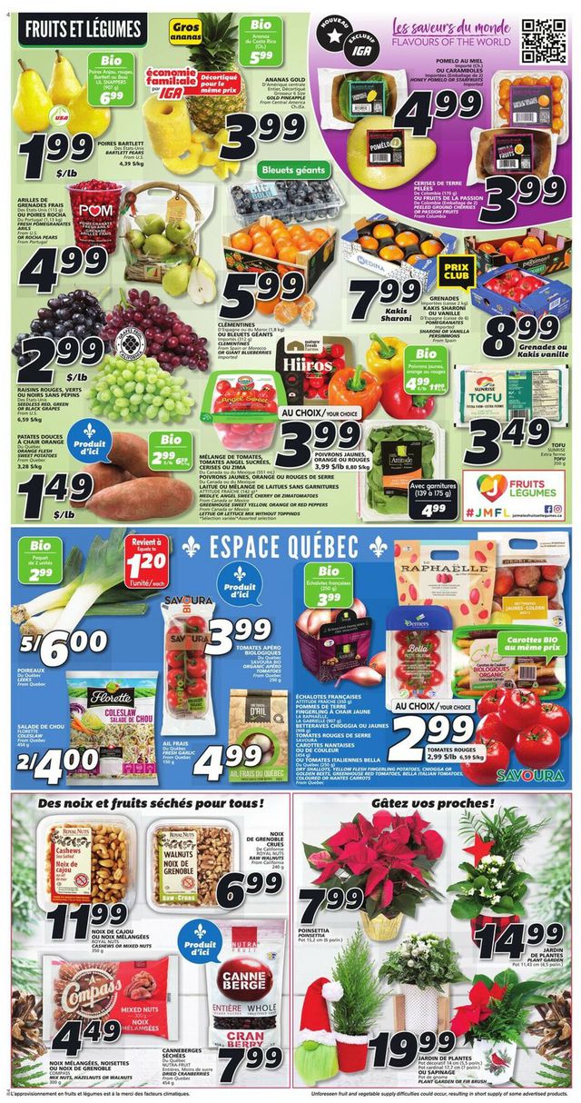 IGA Flyer from 11/24/2022
