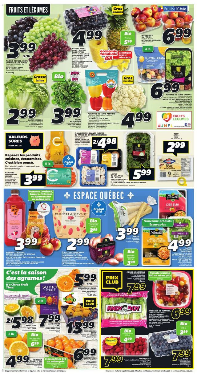 IGA Flyer from 01/26/2023