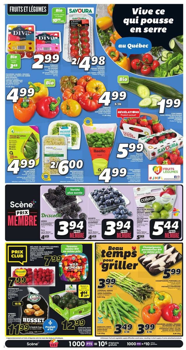 IGA Flyer from 04/13/2023