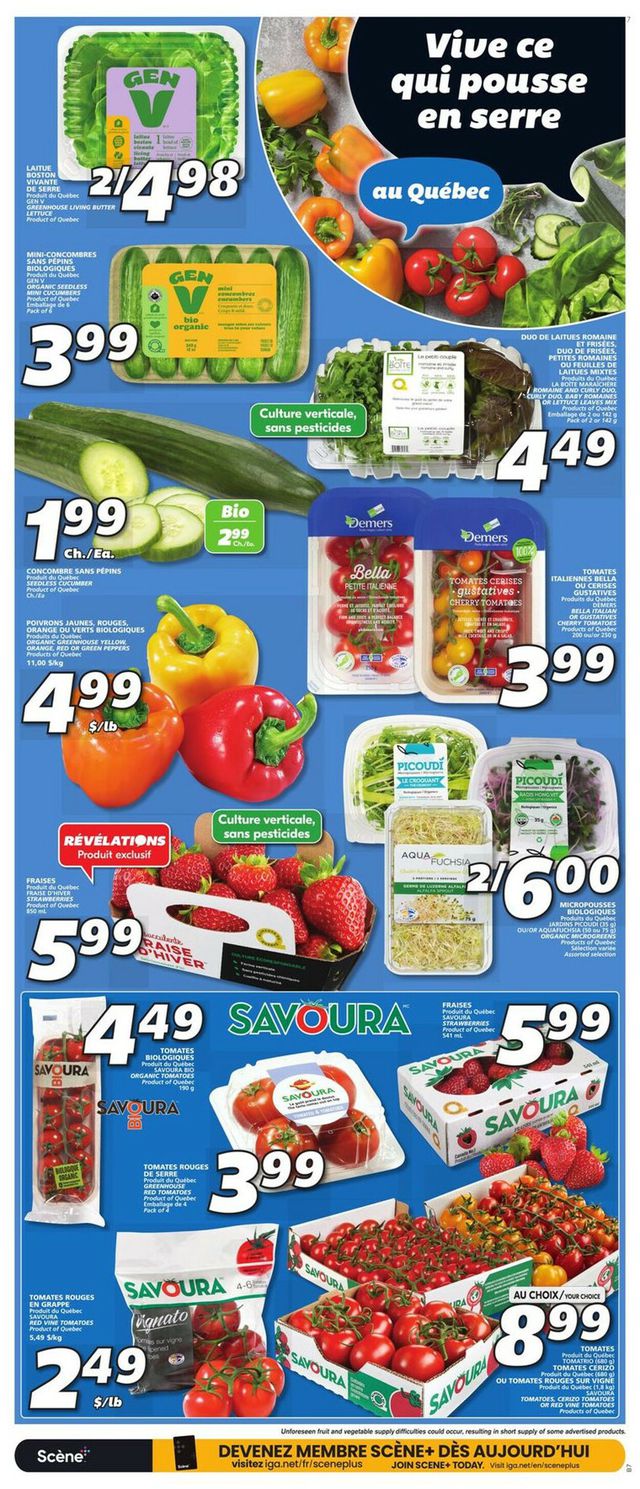 IGA Flyer from 04/20/2023