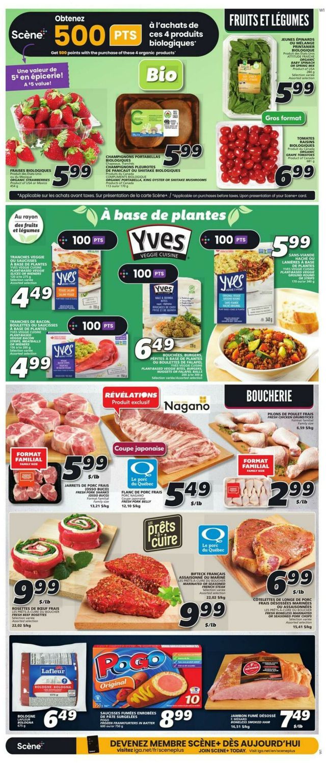 IGA Flyer from 06/08/2023