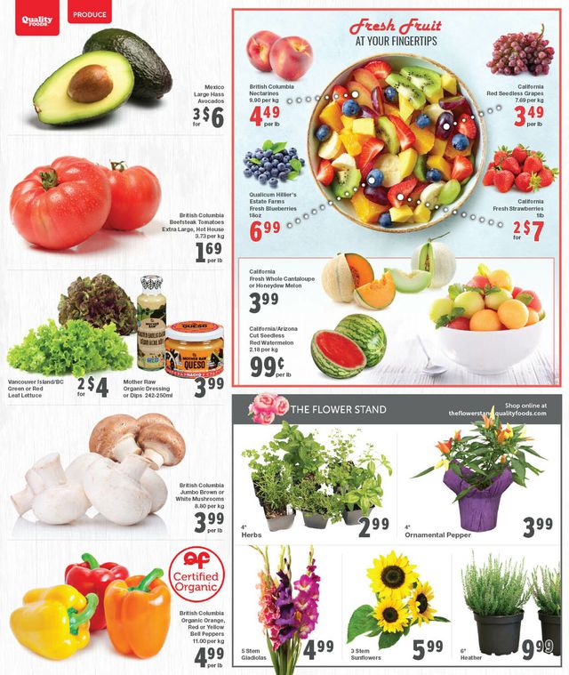 Quality Foods Flyer from 08/28/2023