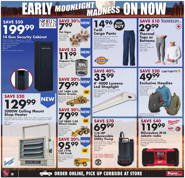 TSC Stores Flyer from 11/19/2020