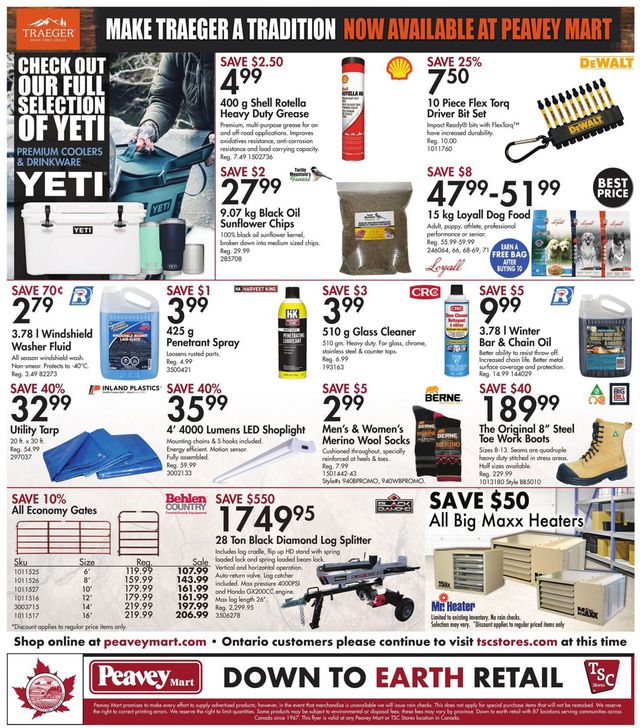 TSC Stores Flyer from 02/11/2021