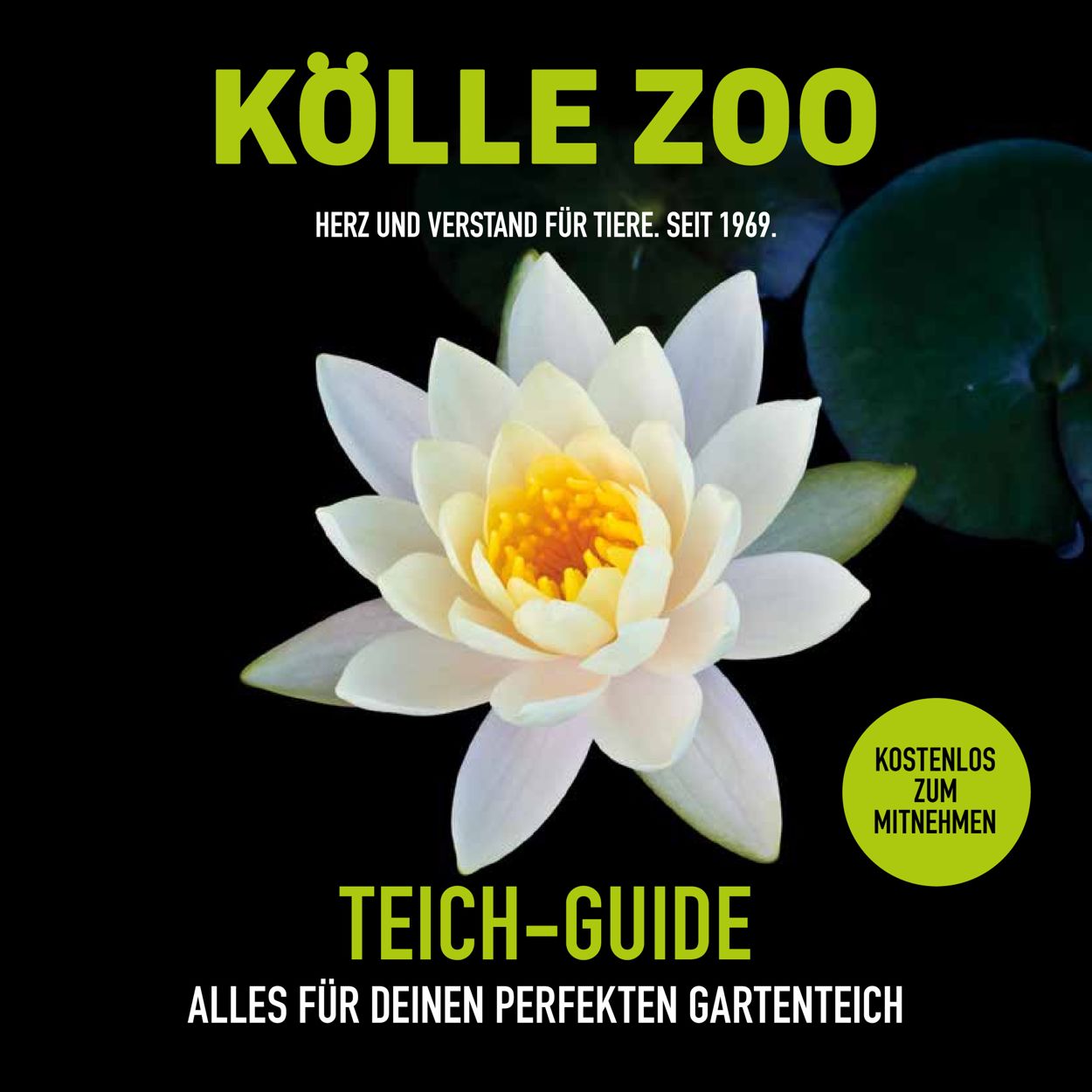 Kölle Zoo Prospekt ab 21.03.2022