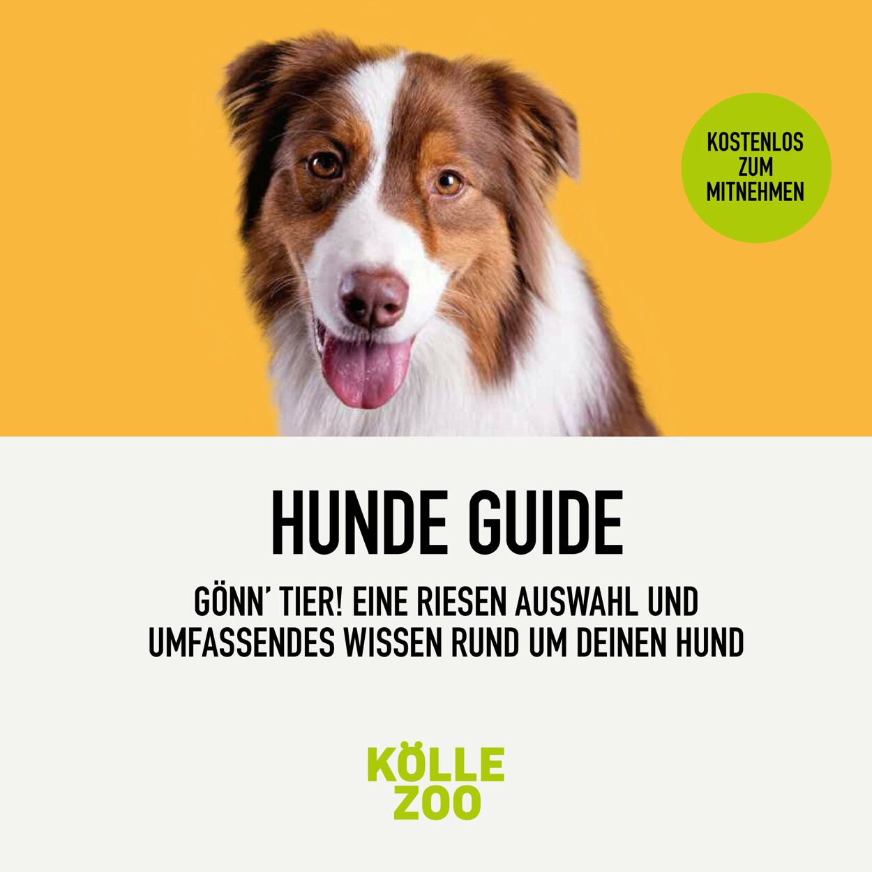 Kölle Zoo Prospekt ab 01.09.2022