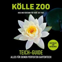 Prospekt Kölle Zoo vom 21.03.2022