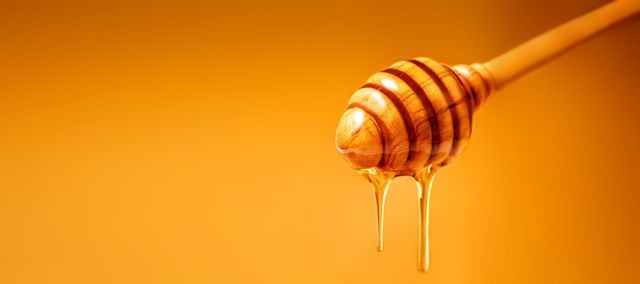 Ein Bienenwunder der Natur: Honig – natürliche und wohlschmeckende Unterstützung für den menschlichen Körper