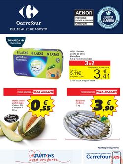 Catálogo Carrefour a partir del 18.08.2020