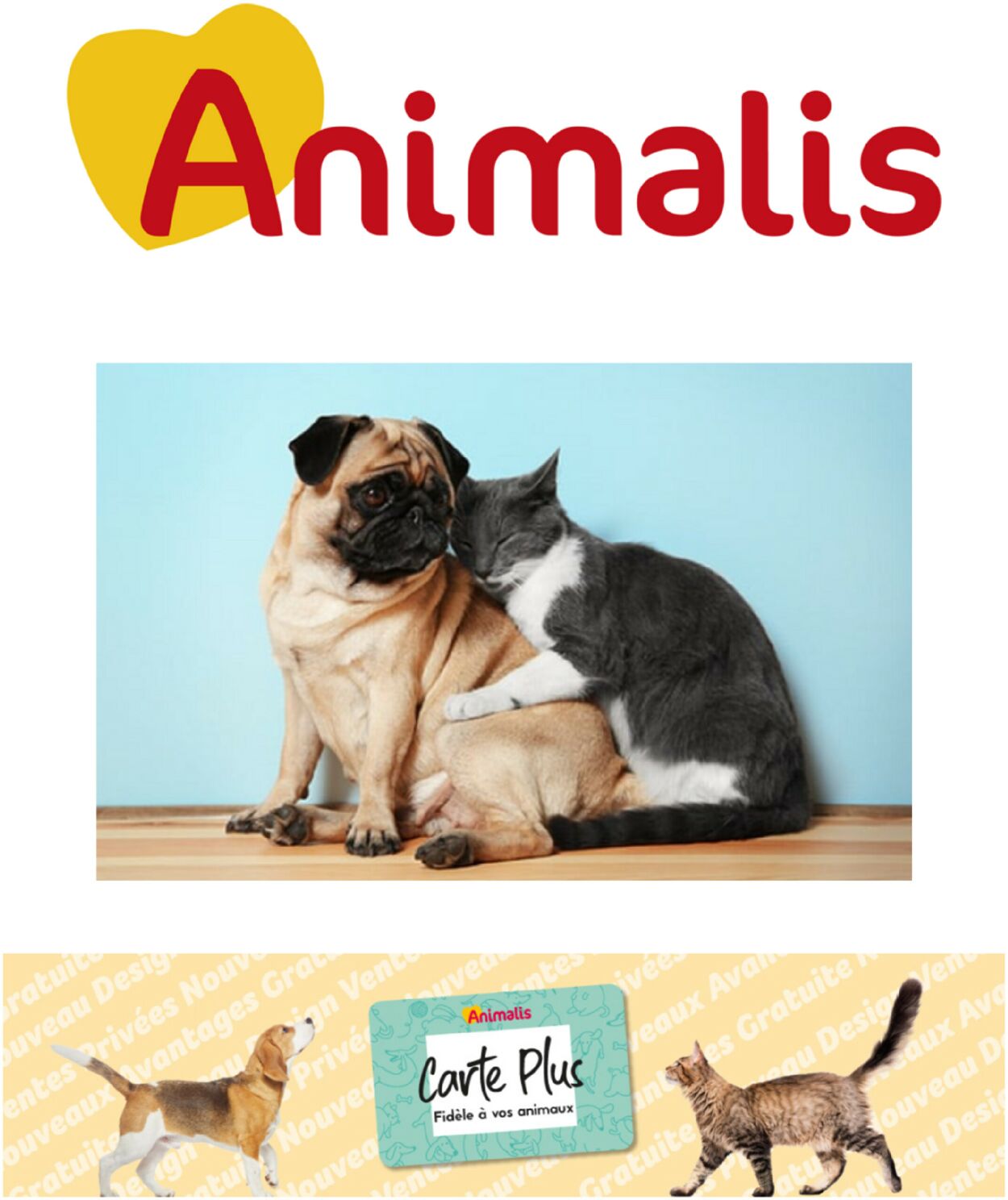Animalis Catalogue du 01.10.2023