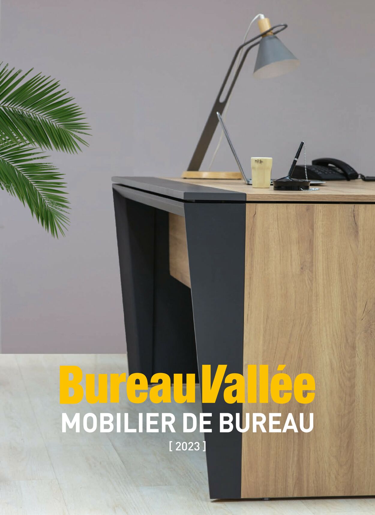 Bureau Vallée Catalogue du 05.02.2023