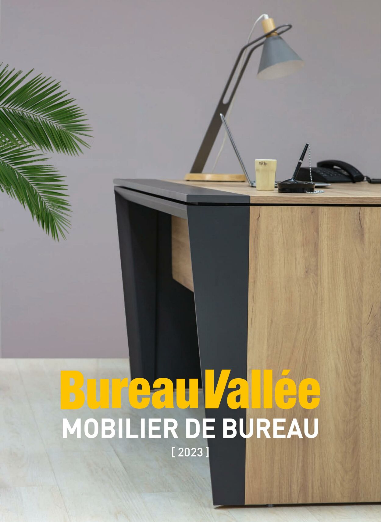 Bureau Vallée Catalogue du 22.01.2024