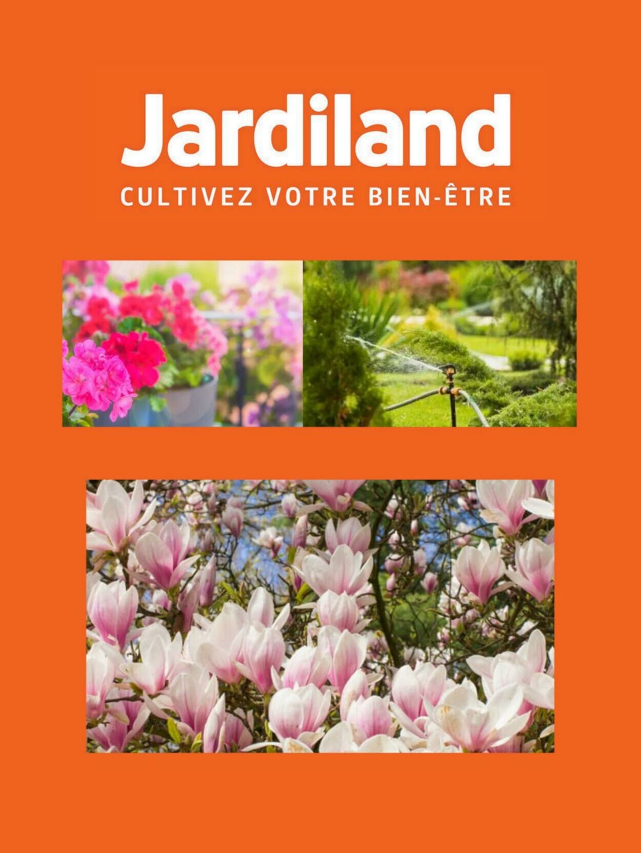 Jardiland Catalogue du 03.02.2024