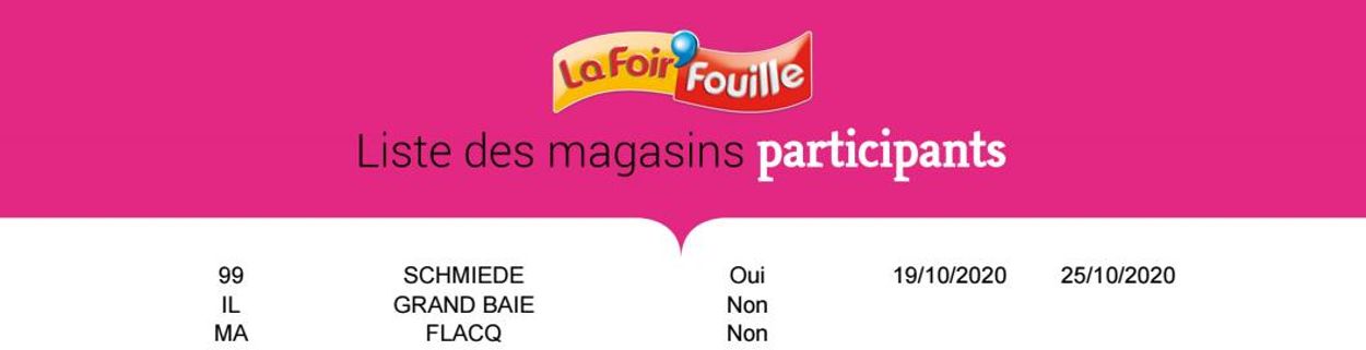 La Foir'Fouille Catalogue du 14.10.2020