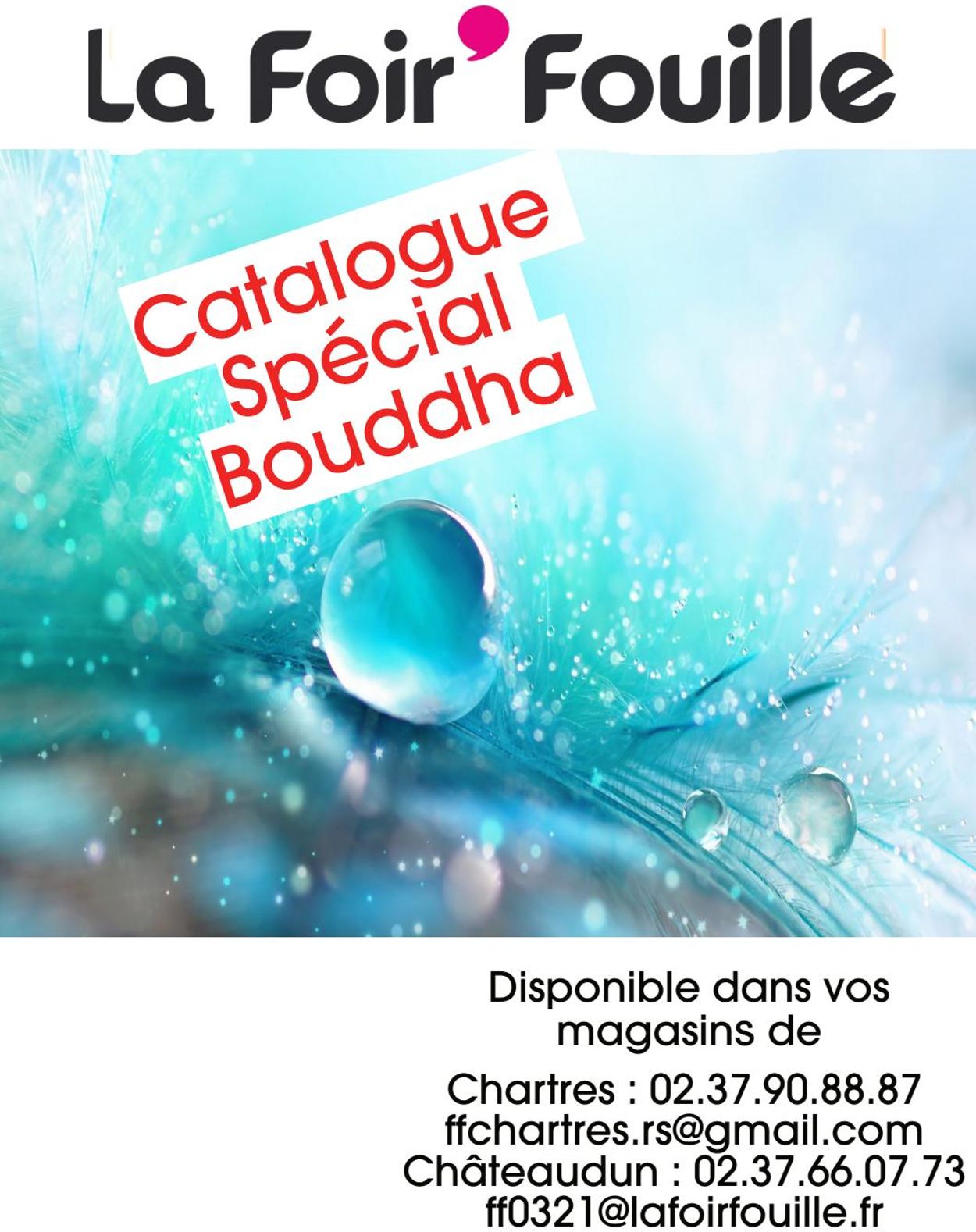La Foir'Fouille Catalogue du 29.01.2021
