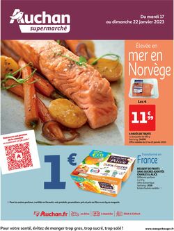 Catalogue Auchan du 17.01.2023