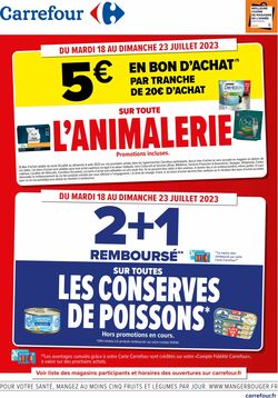 Catalogue Carrefour du 18.07.2023