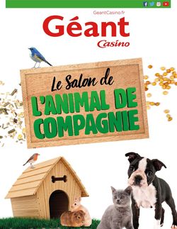 Catalogue Géant Casino du 11.06.2019