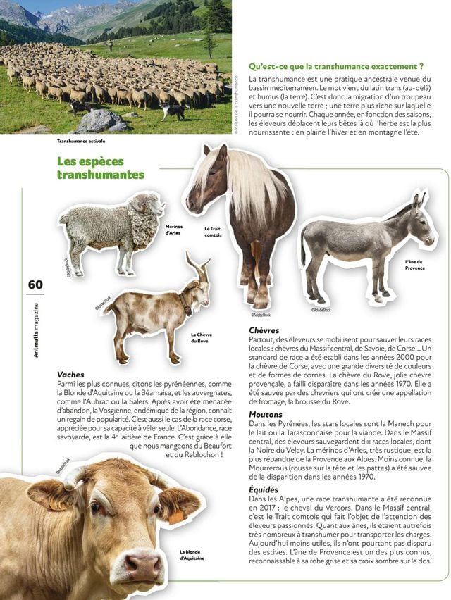 Animalis Catalogue du 01.03.2022