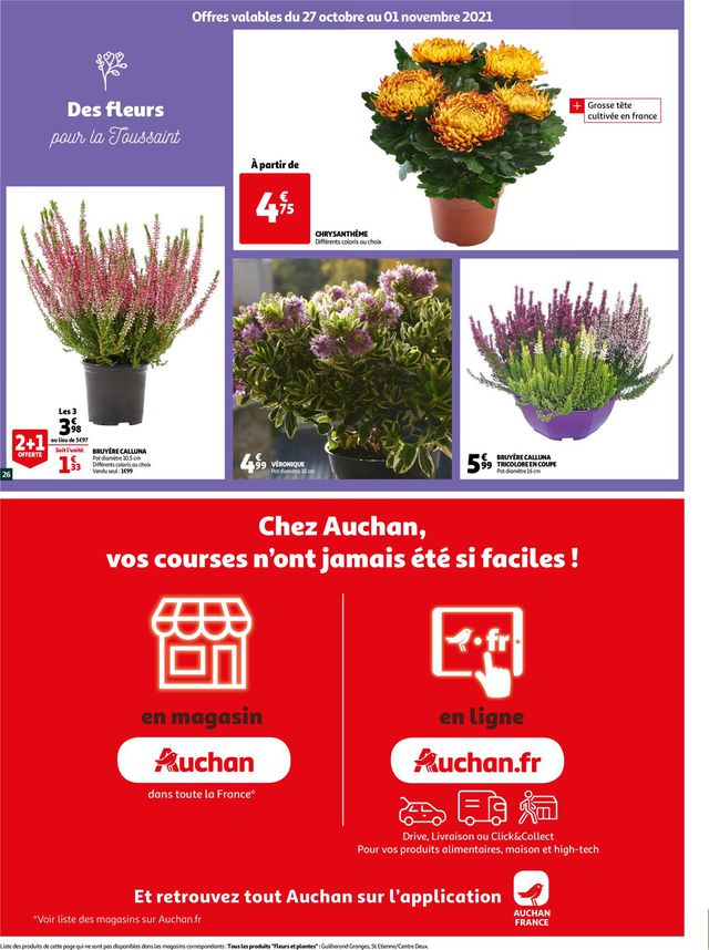 Auchan Catalogue du 27.10.2021