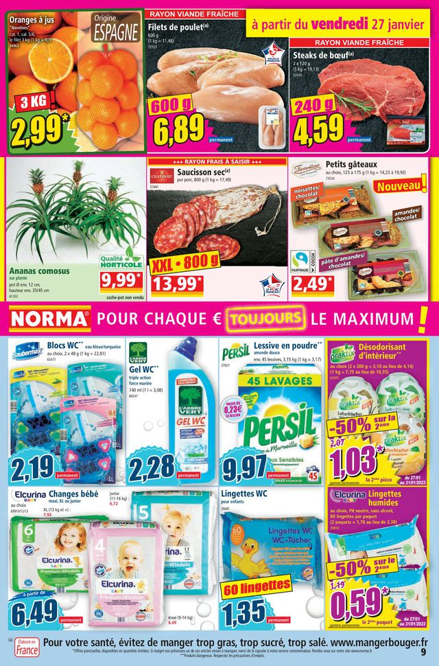 Norma Catalogue du 25.01.2023