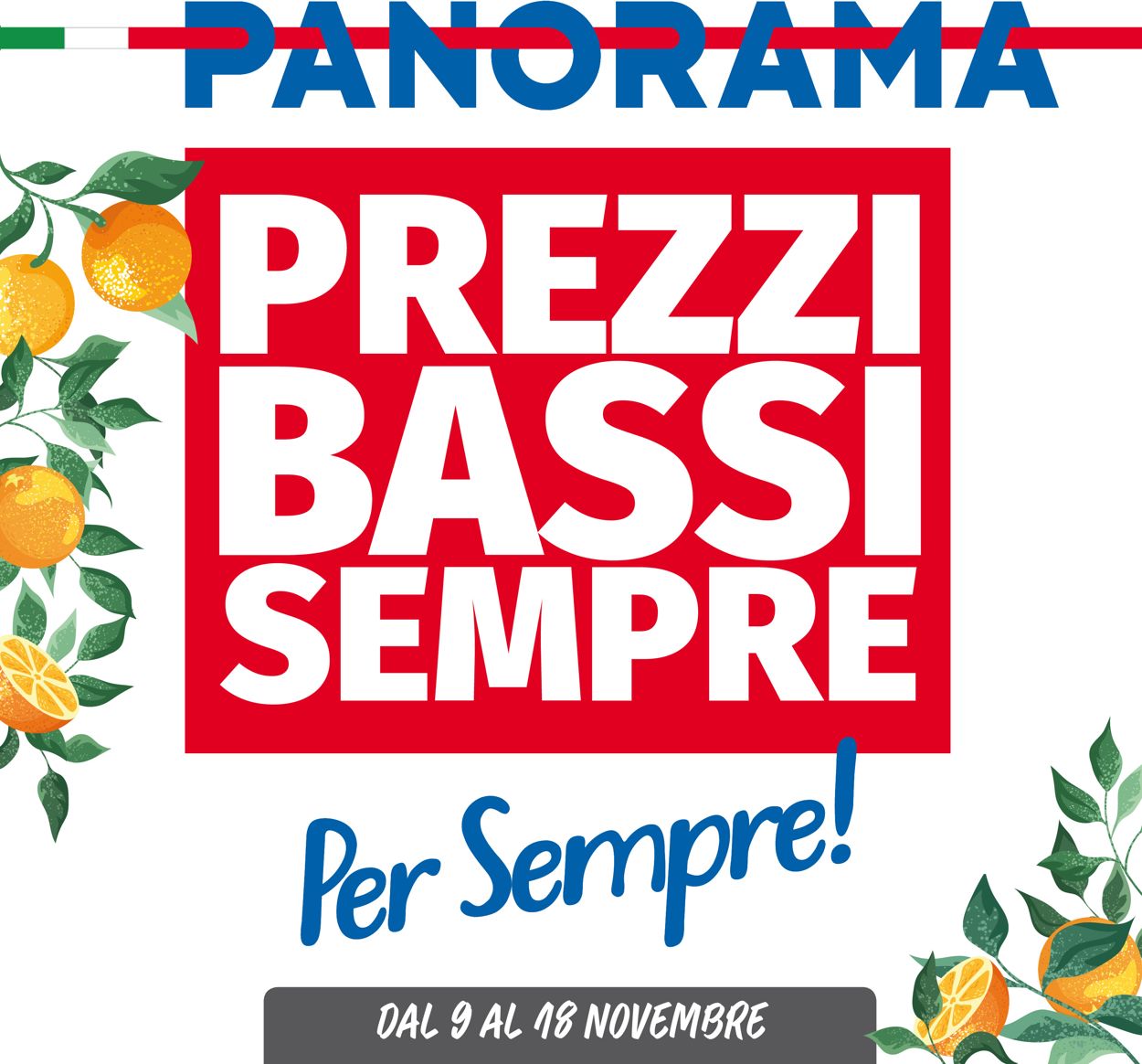 Pam Panorama Volantino dal 09/11/2020